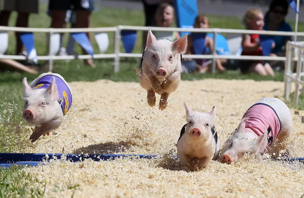 See Who Won Family Four Packs of Tickets to the State Fair of Louisiana