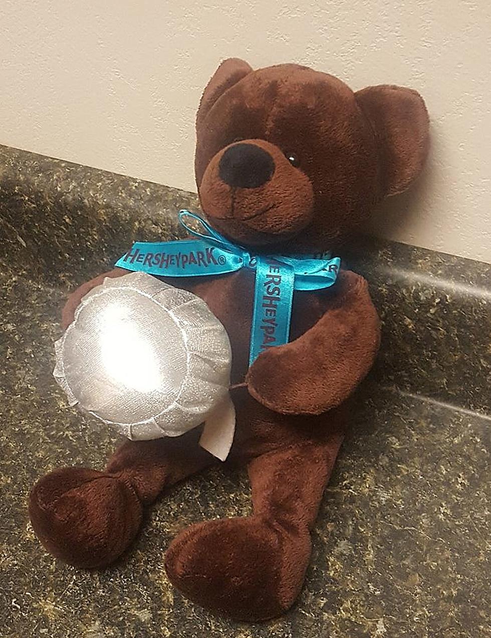 Help Us Find This Teddy Bear’s Owner