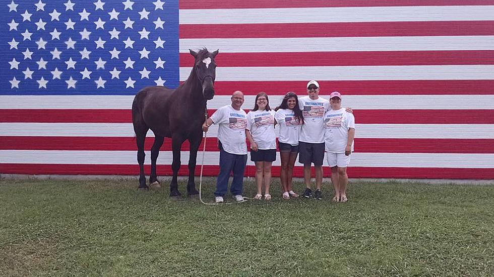 Warrior Horse Program Big Success at Inaugural Vet Fest
