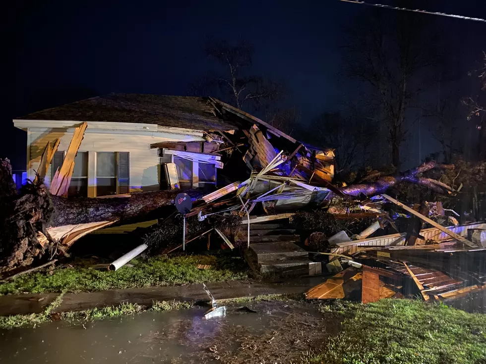 Falling Tree Kills Oil City Man