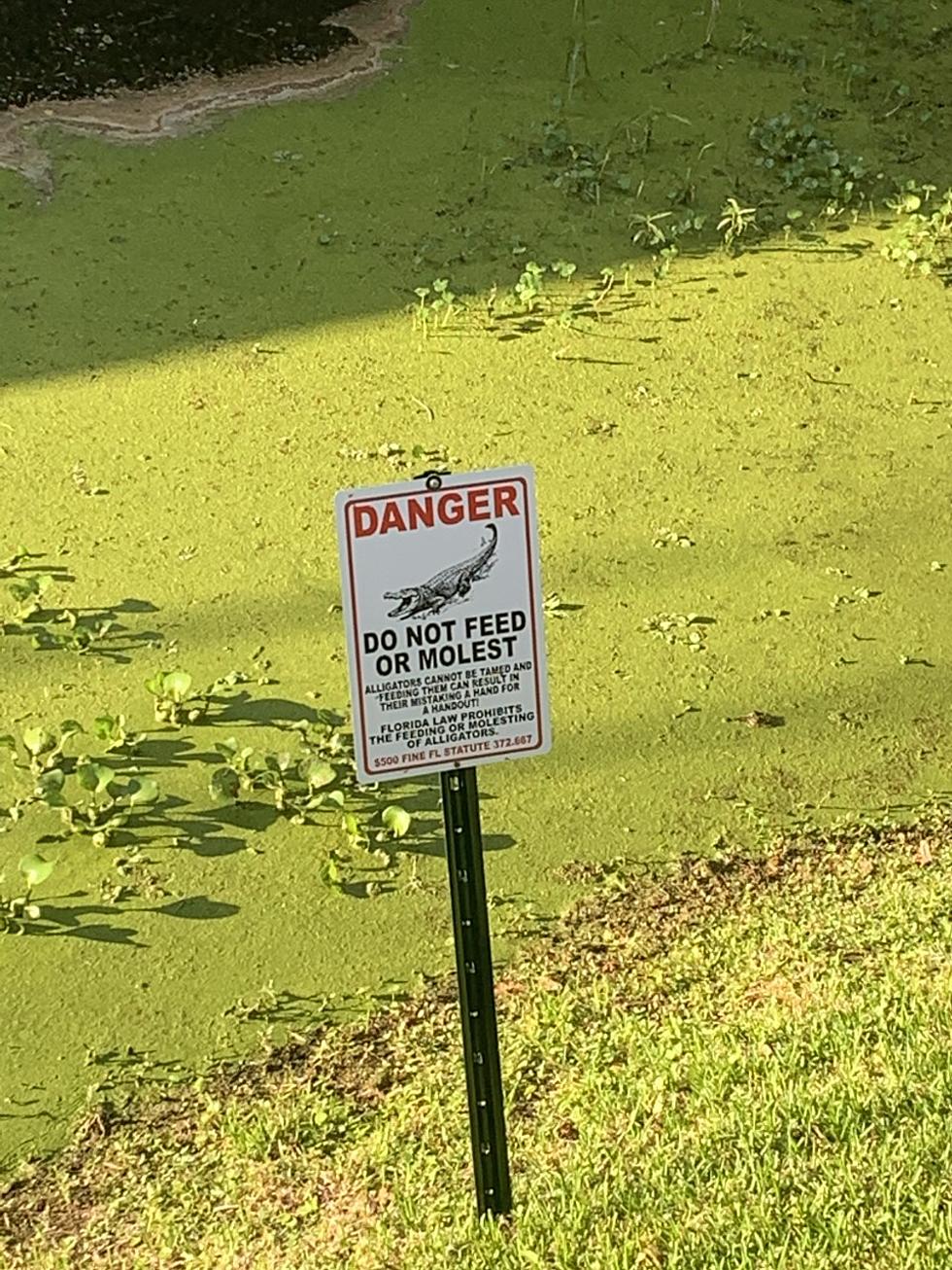 Do We Really Need a Sign Warning Folks Not to Molest Alligators?