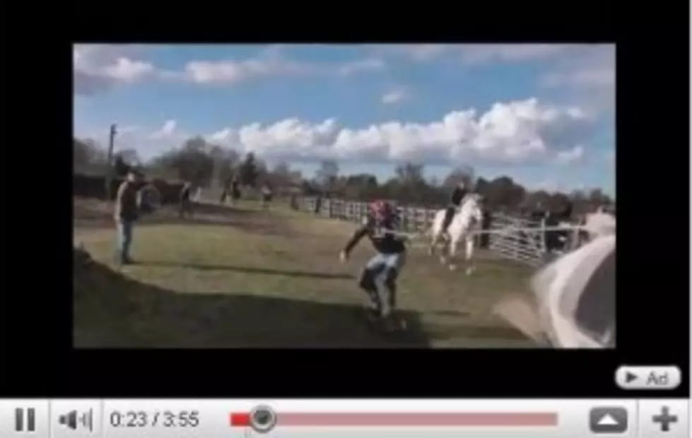 Horse Surfing &#8211; New Olympic Sport?!? [VIDEO]