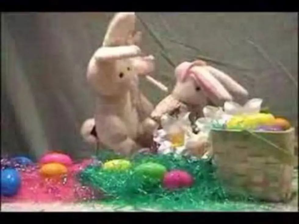 Easter Bunny Rock (VIDEO)