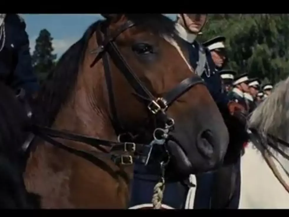 &#8216;War Horse&#8217; Movie Trailer &#8211; If You Love Horses Watch This [Video]