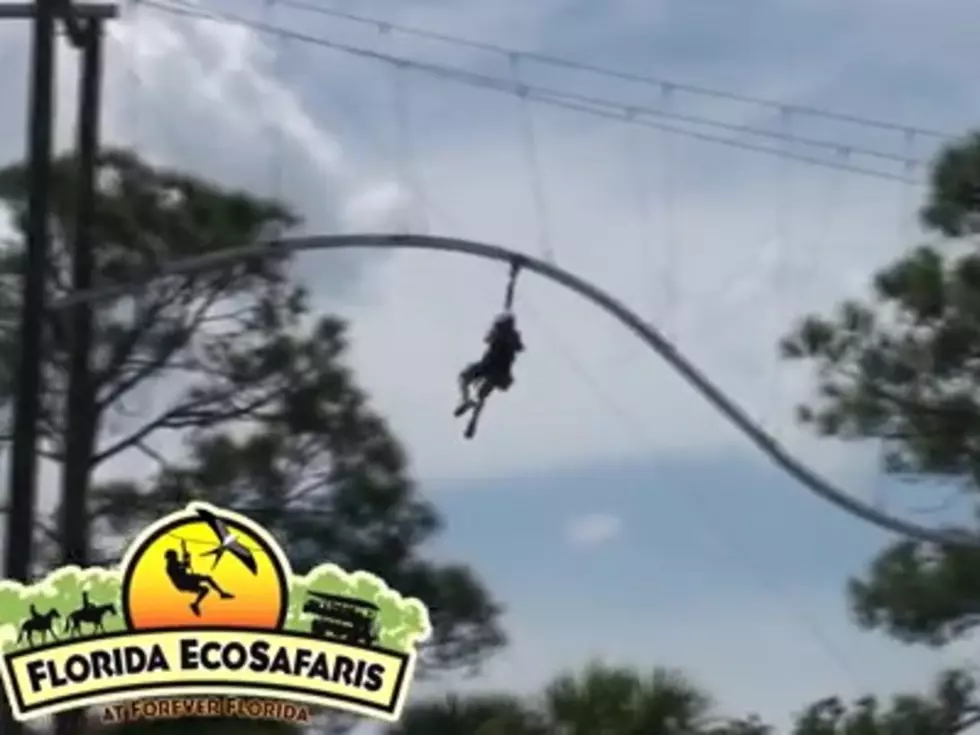Zipline Roller Coaster &#8230; Pass Thanks [Video]