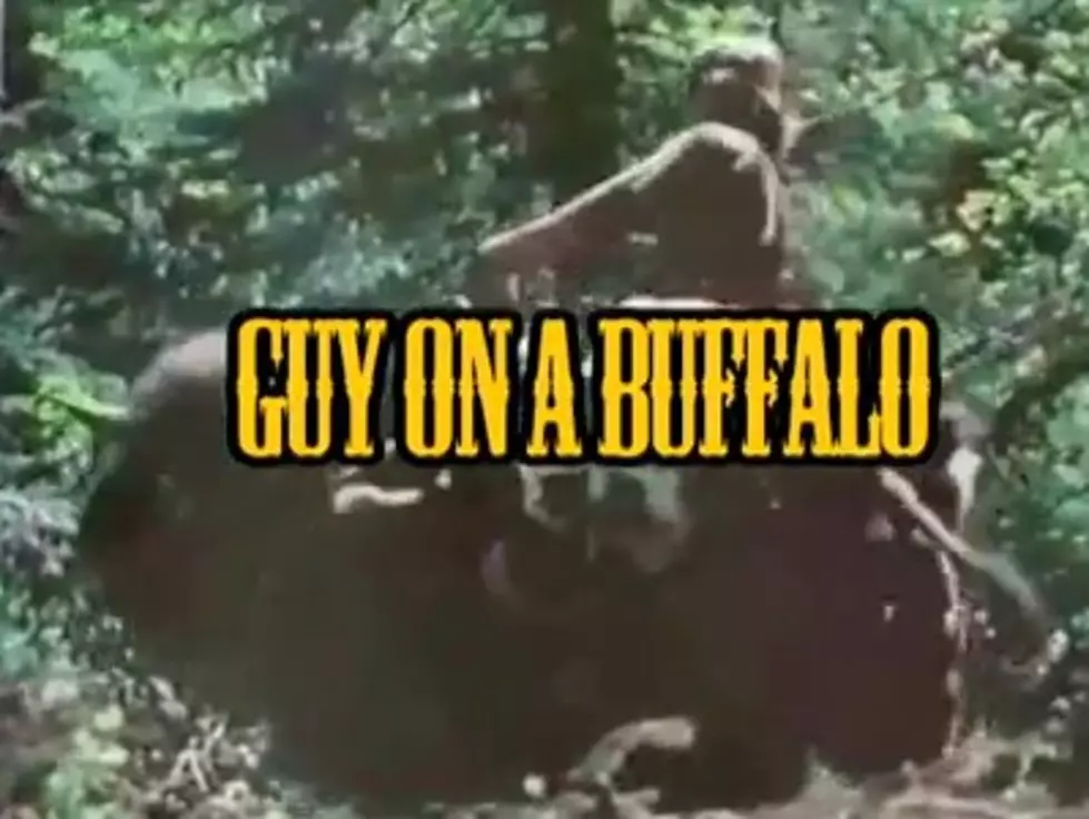 On A Buffalo: Episode 4