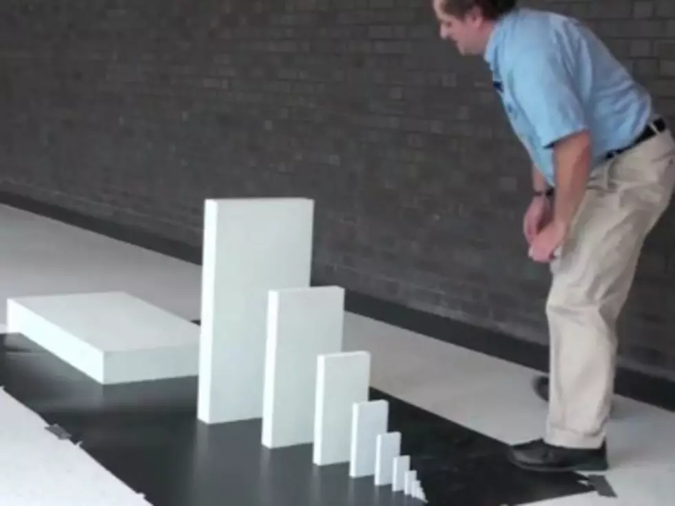 Domino Chain Reaction Video Shows Science!! [Video]