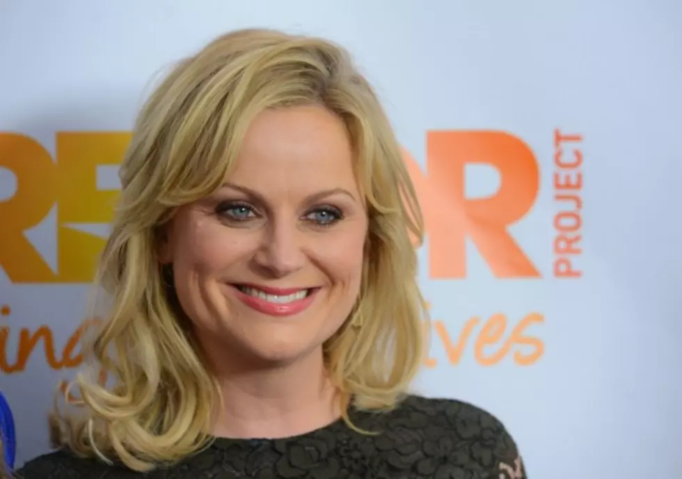 Amy Poehler To Appear In Super Bowl Ad
