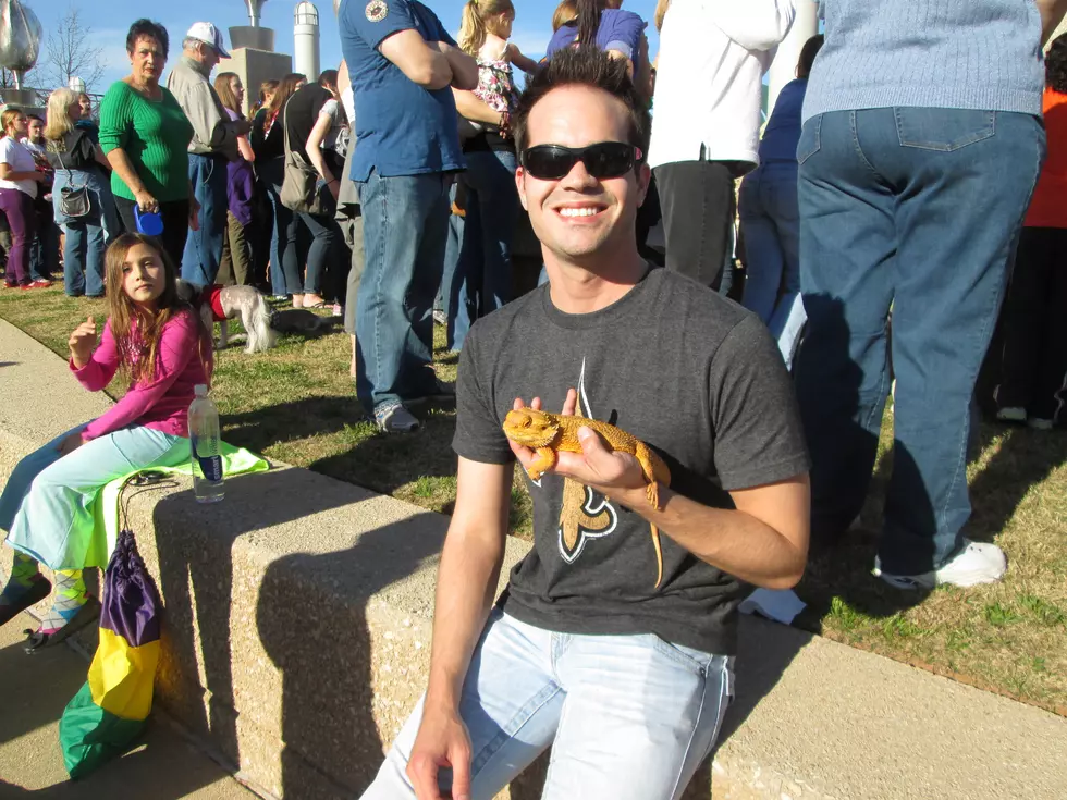The Krewe of Barkus and Meoux Pet Parade 2013 [PICS]