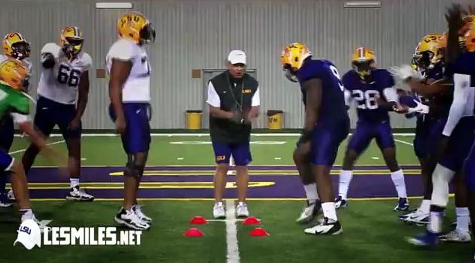 This Will Really Be The Last Harlem Shake Video I Post – LSU Football and Les  Miles [VIDEO]