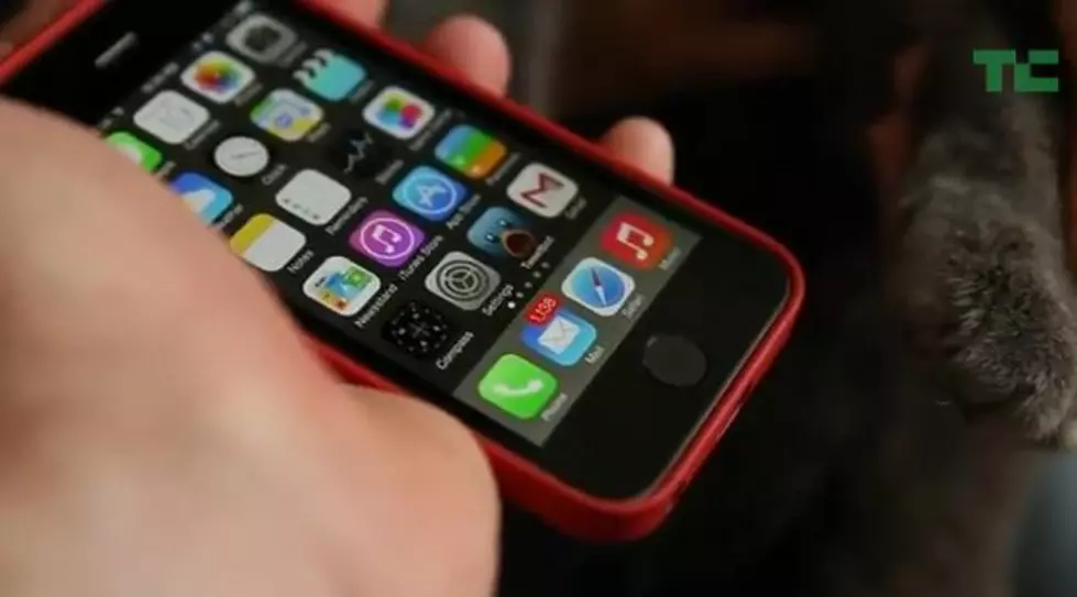 iPhone 5s Cat’s Paw Test [VIDEO]