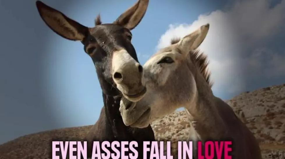Unsettling Facts About Love [VIDEO]