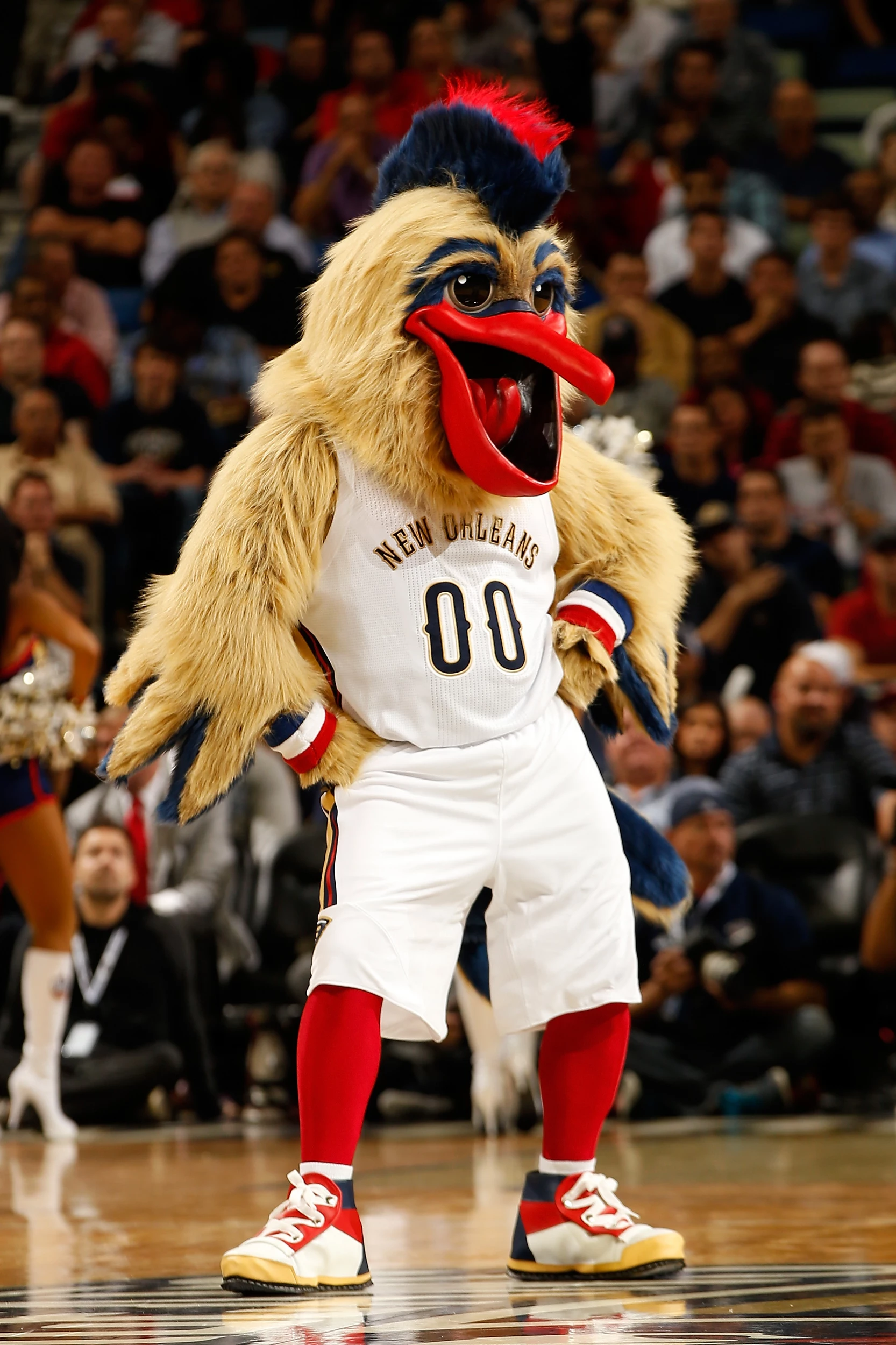 pelicans mascot