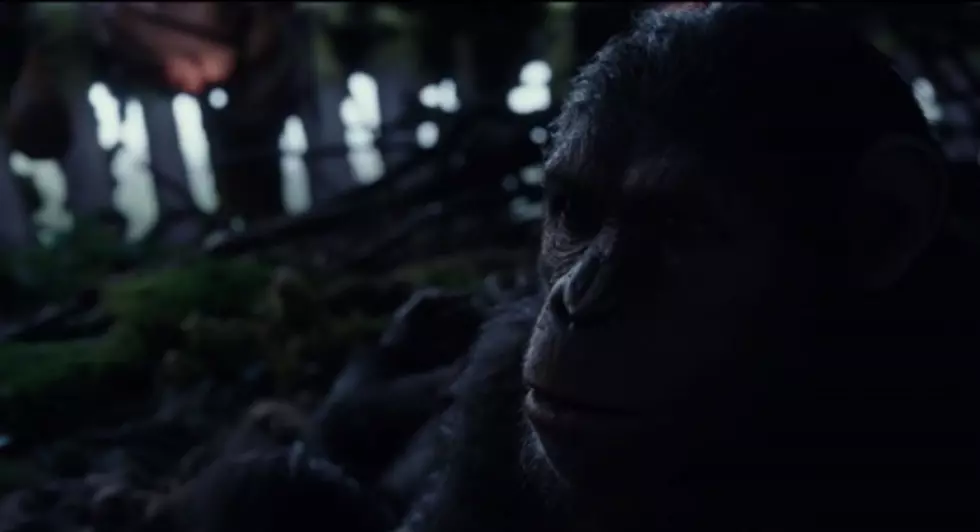 &#8216;Dawn Of The Planet Of The Apes&#8217; Trailer (VIDEO)