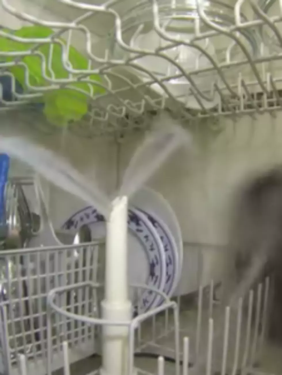 Man Places GoPro Inside Dishwasher