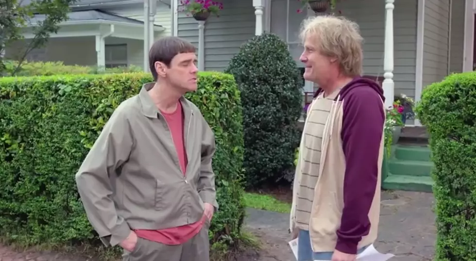 They're Back! Watch the 'Dumb and Dumber To' Trailer