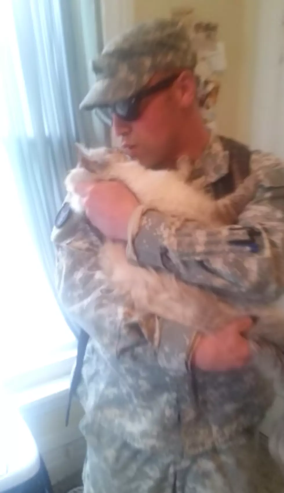 Excited Cat Welcomes Home Soldier (VIDEO)