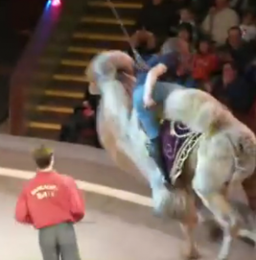 LOL Lady at Russian Circus Rides Camel, Splits her Pants