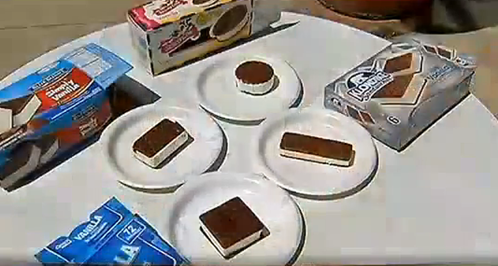 Which Of These Ice Cream Sandwiches Doesn’t Melt in the Sun? [VIDEO]