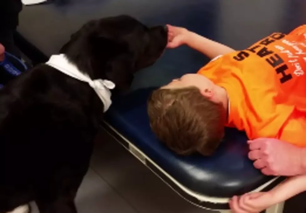 Kid&#8217;s Physical Therapy Involves Giving a Dog a Treat
