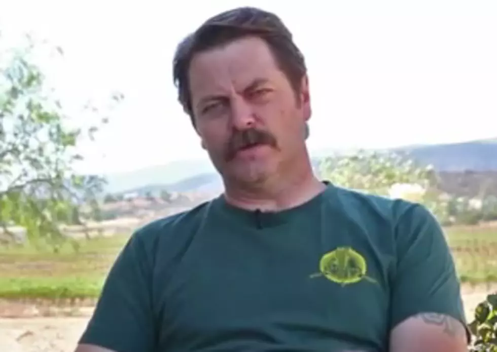Nick Offerman Reads Hilarious Random Thoughts