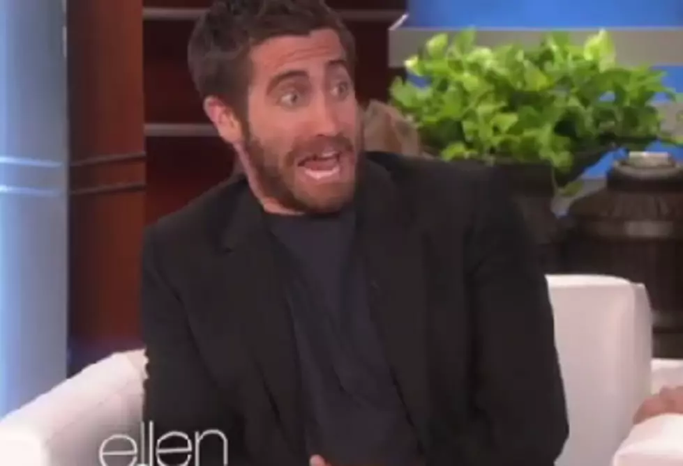 Ellen Scares The You-Know-What Out Of Jake Gyllenhaal