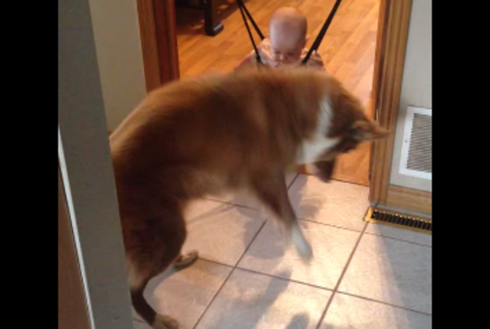 Dog Teaches Adorable Baby How to Jump