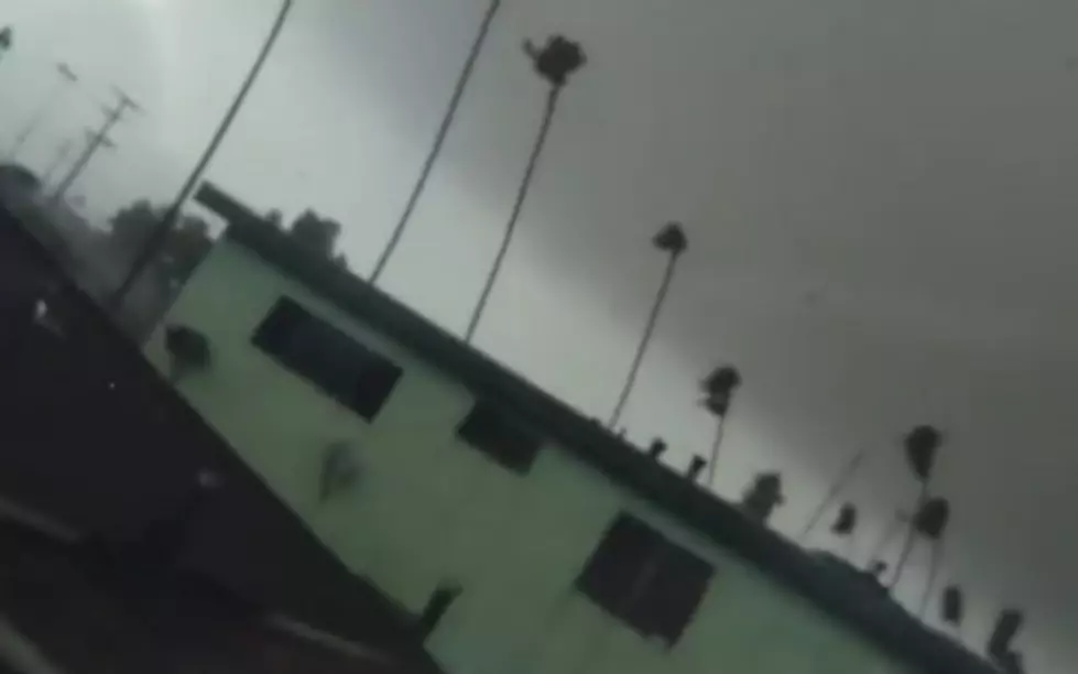 Tornado Hits Los Angeles, Crazy Footage