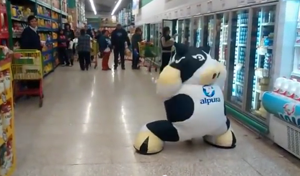 This Dancing Cow is the Perfect Cure for the Rainy Weather [VIDEO]