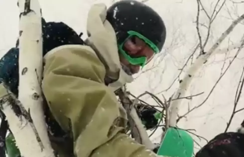Skier Flips Directly Into a Tree [VIDEO]