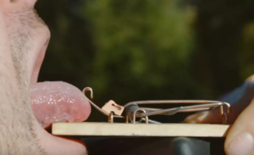 Tongue Stuck In Mouse-Trap In Super Slow Motion [VIDEO]