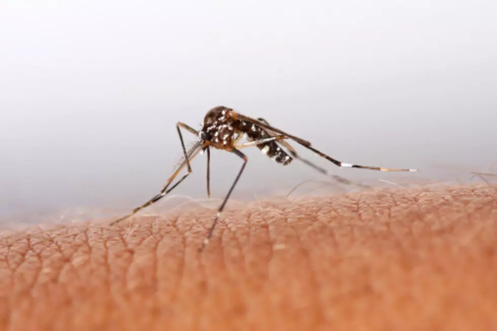 The Zika Virus Has Made It’s Way To Shreveport