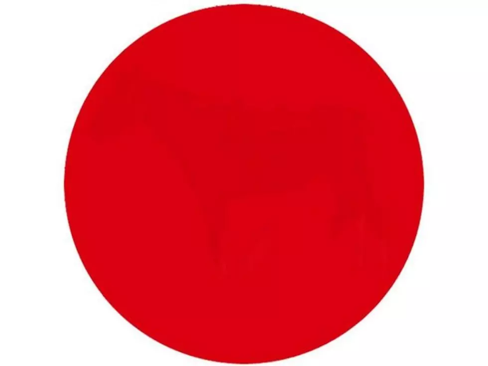 Can You See The Hidden Image In This Red Dot?