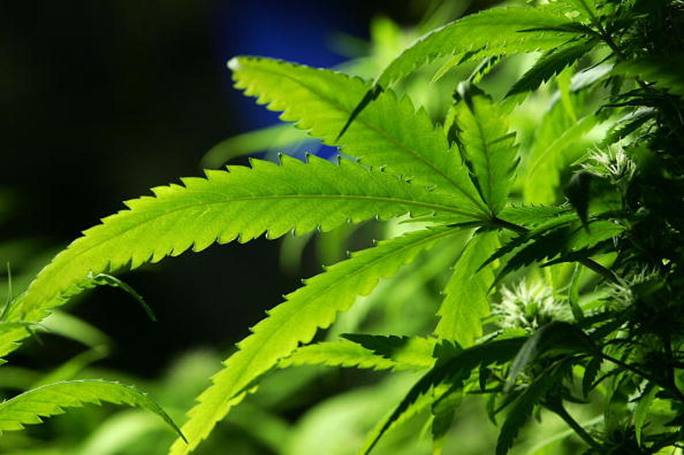 Medical Marijuana Bill Awaits Governor’s Signature