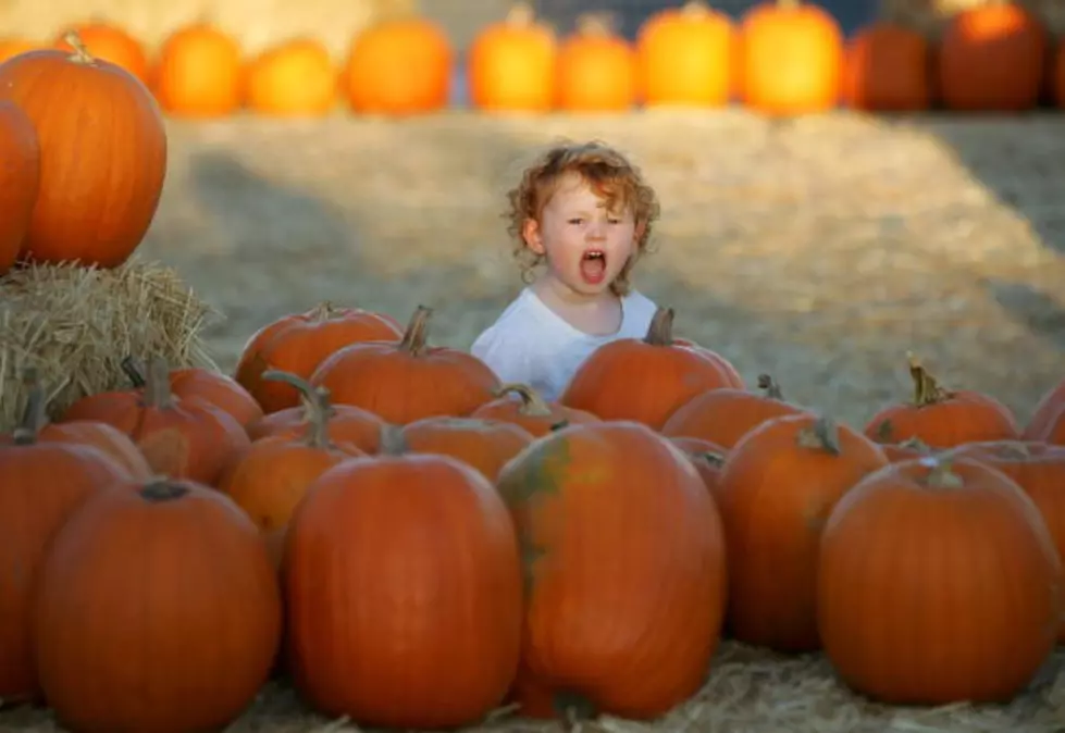 Obsession With Pumpkin: Justified by Science