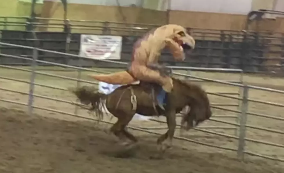 Dude Dresses In A T-Rex Costume And Rides A Bucking Bronco [VIDEO]