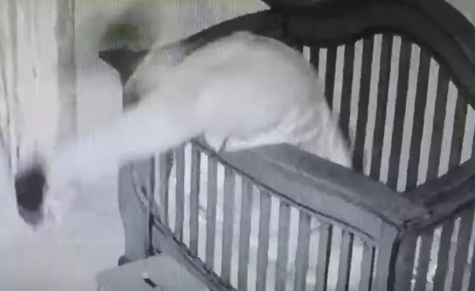Try Not To Laugh As This Grandma Falls Into A Crib [VIDEO]