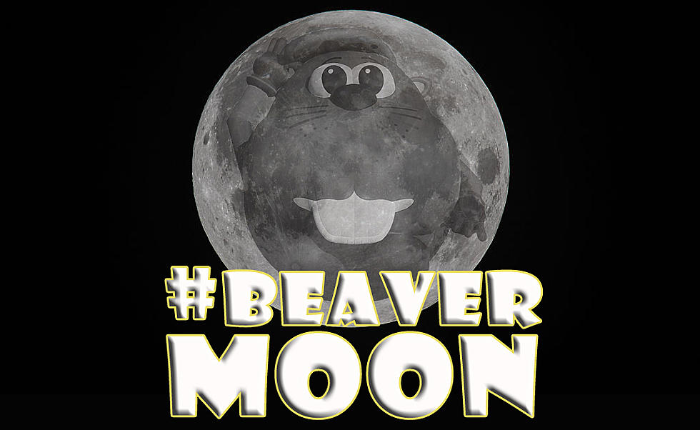 All Hail The Beaver Moon!