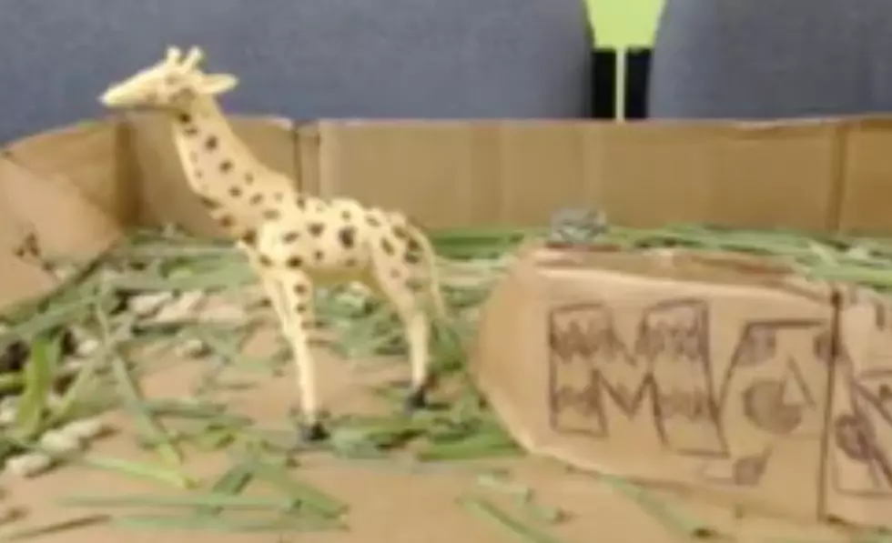 WATCH LIVE: K945’s Live Reenactment Of Live Giraffe Birth