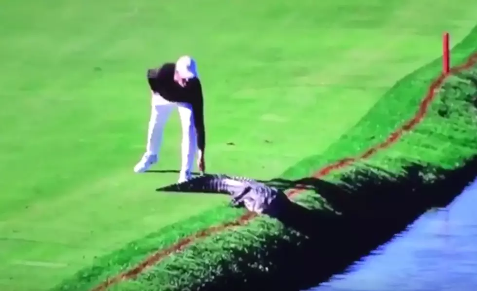 Pro Golfer Pushes Actual Alligator Into Water Hazard [VIDEO]