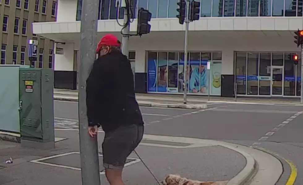 Angry Pedestrian Served With a Steaming Hot Plate of Karma [VIDEO]