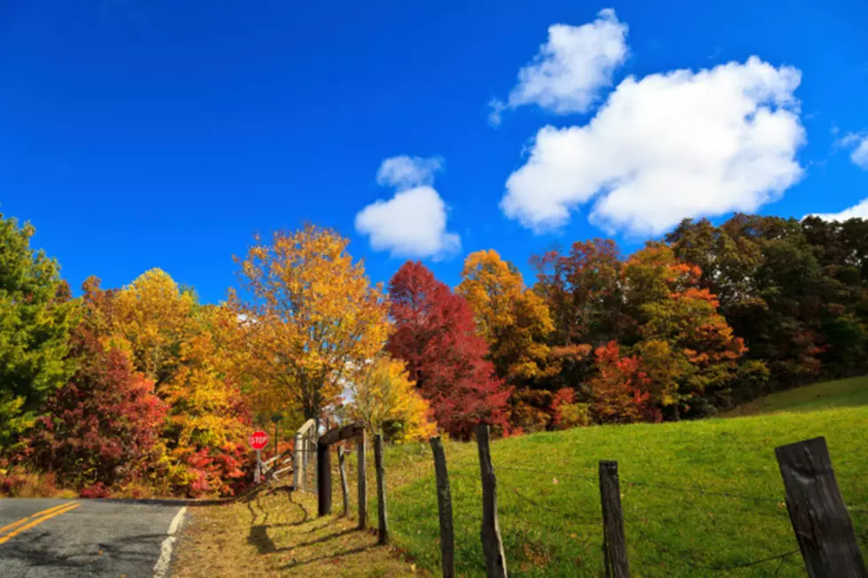 Interactive Map Reveals the Best Times to View Those Fall Colors