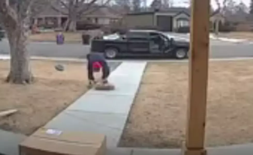 Doorbell Camera Films a Man Stealing Dog in the Front Yard [VIDEO]