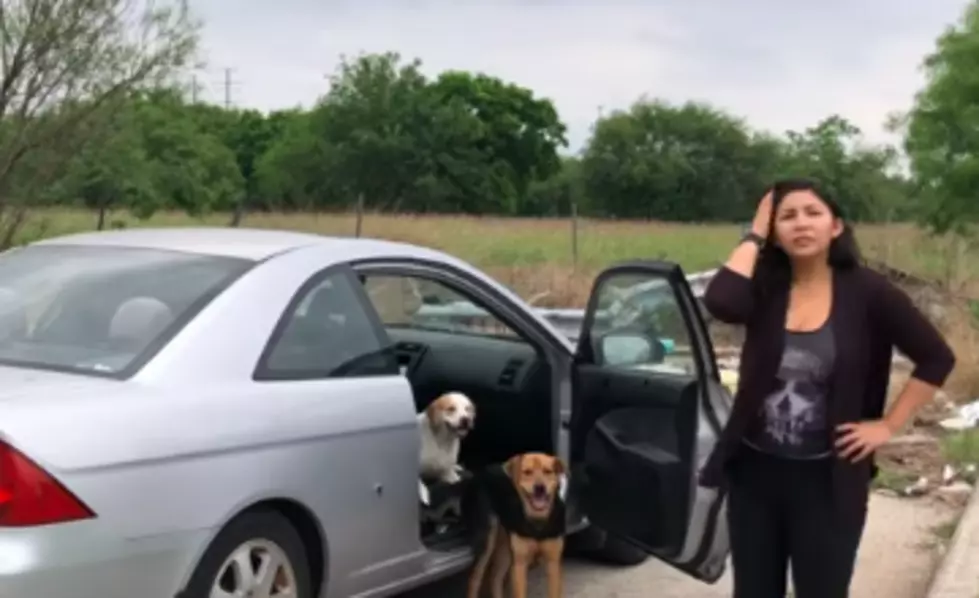 Woman Caught Abandoning Four Dogs in Texas [VIDEO]