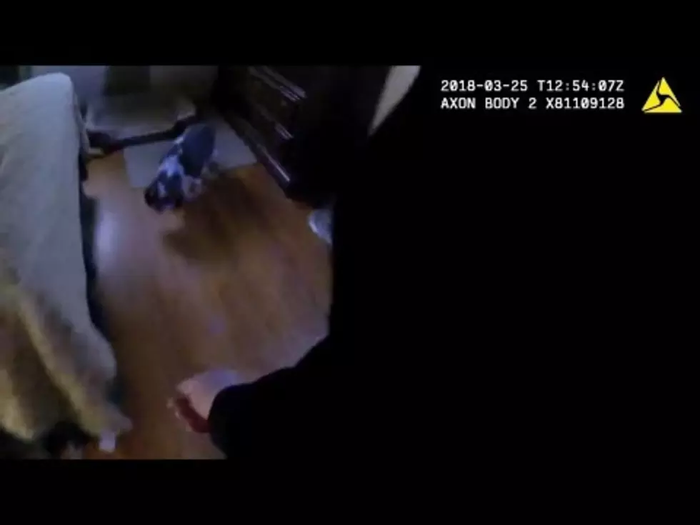 Police Officer Rescues Dog From House Fire [VIDEO]