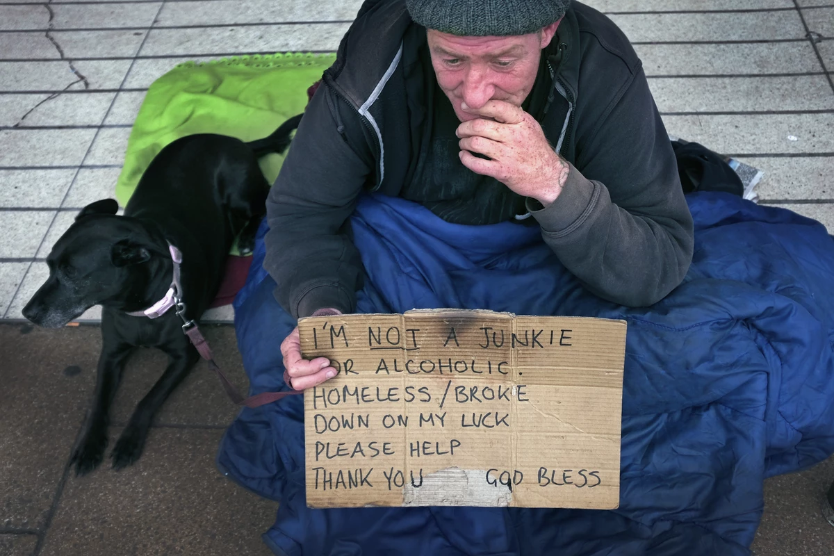 Some animals go to a shelter. Helping homeless. Ways to help homeless. Homeless buddy. Homeless man help.