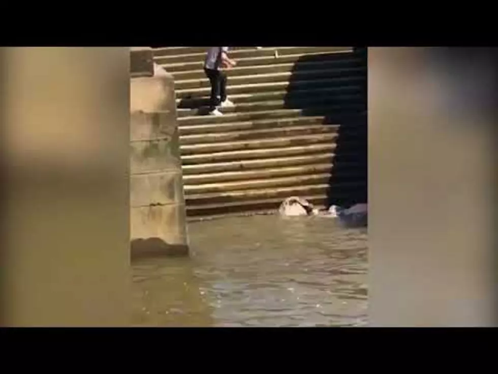 Man Hilariously Stumbles Down Steps into River [VIDEO]