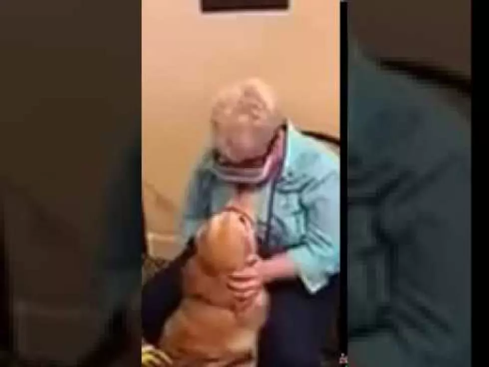 Special Glasses Allow Blind Woman to See Her Guide Dog [VIDEO]
