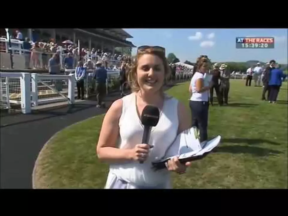 Sports Report Stops Runaway Horse by Standing in it’s Way [VIDEO]
