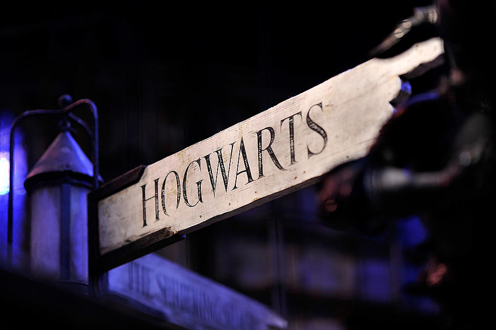 Movie Studio Cracking Down on Unlicensed Harry Potter Festivals